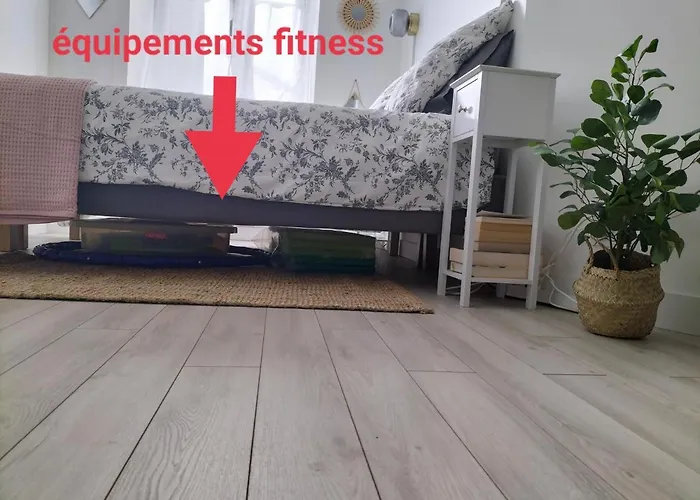 Orleans Hypercentre Articles Fitness Et Bebe