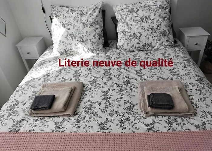 Orleans Hypercentre Articles Fitness Et Bebe